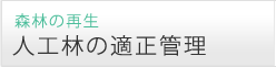 人工林の適正管理